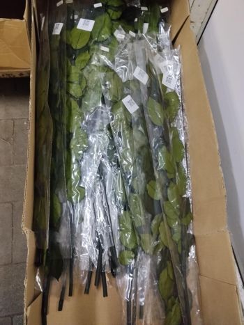 ZZ A TARTÓSRÓZSA SZÁR