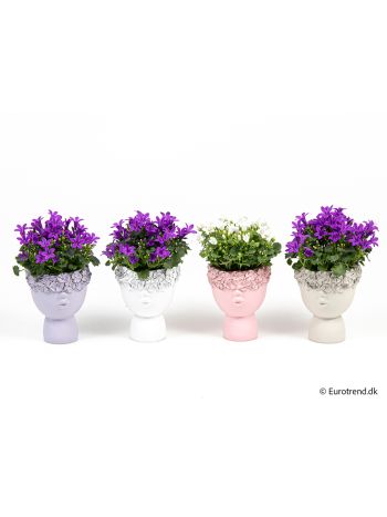 ZZ Ö. CAMPANULA NŐI FEJ KASPÓ