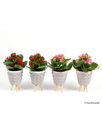 ZZ Ö. KAL LÁBAS KASPÓS