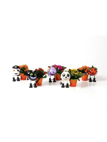 Ö. KAL HALLOWEEN ZINK KASPÓ AKCIO