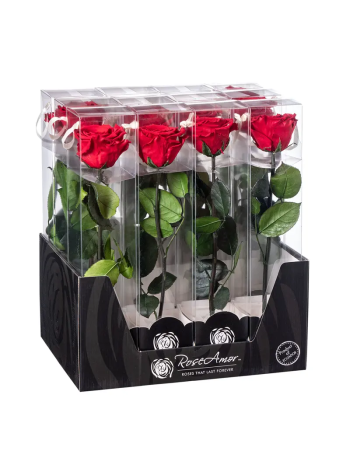 ZZ A TARTÓSRÓZSA DISPLAY RED 02 30CM