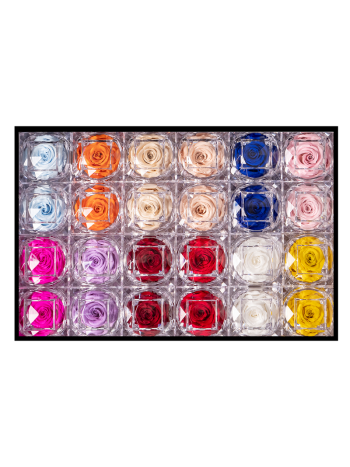 ZZ A TARTÓSRÓZSA JEWEL MIX