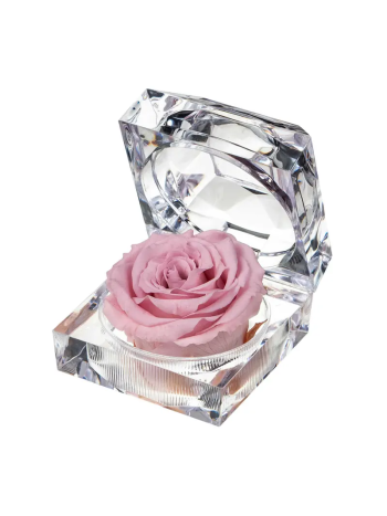 ZZ A TARTÓSRÓZSA JEWEL PIN 04