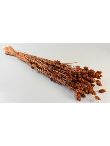 Fénymag 100g barna