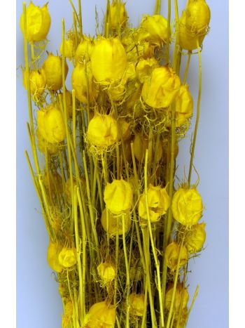 Nigella damascena 100g feh.sárga