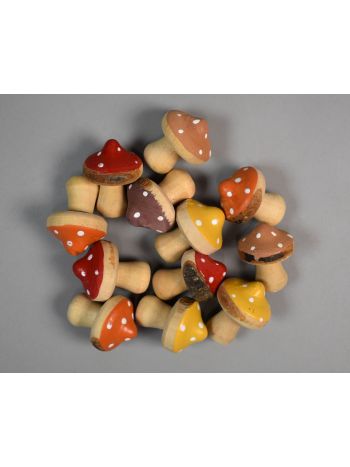 Fig. Gomba fa pettyes 3x2cm s-ns-p