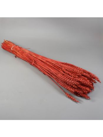 Búza tar 150g feh.piros