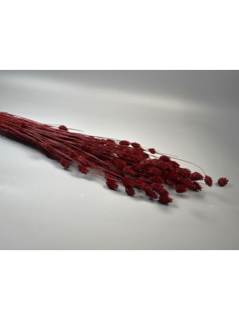 Fénymag 100g bordó