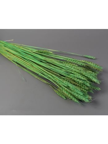 Búza tar 150g feh.aqua