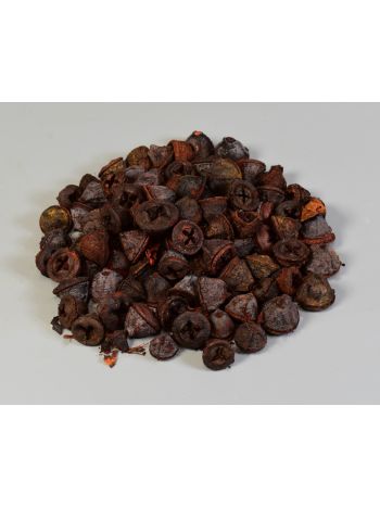 Eukalyptus gomb narancs
