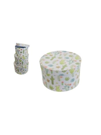 Ajándék-Virág Papírdoboz Kaktusz Szett/3 Bn 100-2142 - D20*H12cm (16/#)