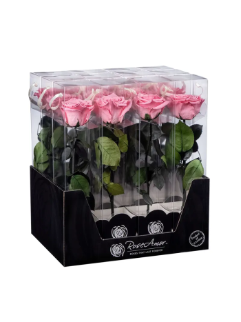 ZZ A TARTÓSRÓZSA DISPLAY PIN 06 30CM