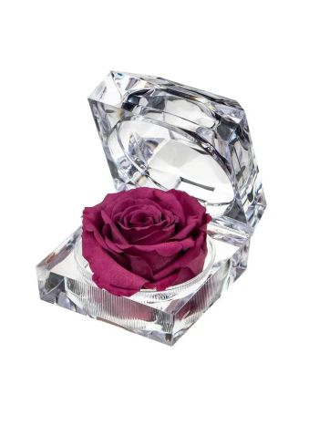ZZ A TART&Oacute;SR&Oacute;ZSA JEWEL VIO02