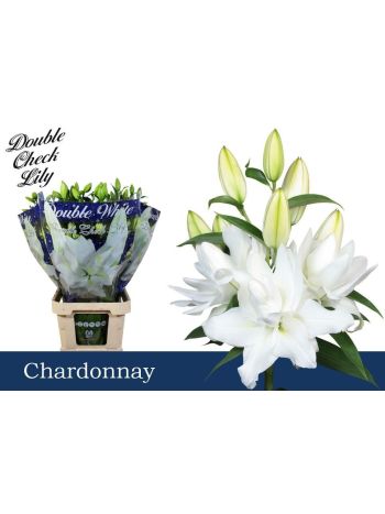 LI OR DU CHARDONNAY
