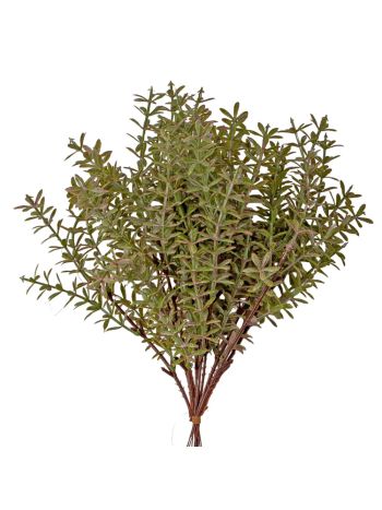 Édesgyökér köteg- 12 szálas- 26cm magas