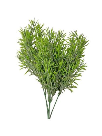 Hamvas aszparágusz csokor- vastaglevelű- 38cm magas