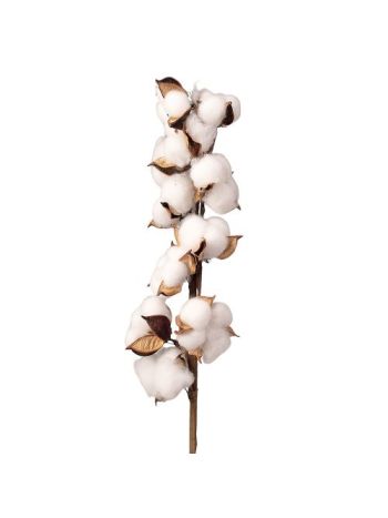Gyapot dekor ág- 10 fejes- 53cm magas