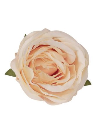 Peónia selyemvirág fej- 5.5cm - Krém