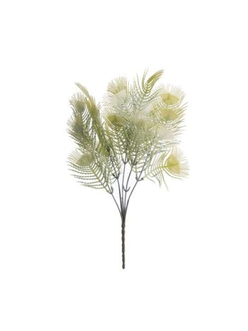 Pávatoll csokor- 37cm magas - Zöld