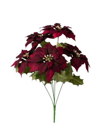 Mikulásvirág csokor- 36cm magas - Bordó