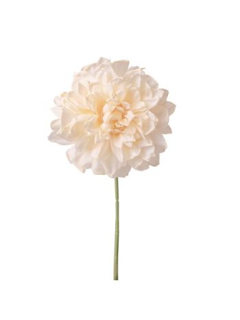 Dália selyemvirág szál- 28.5cm magas - Világos pezsgő