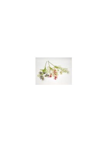 Cosmos szálas különböző színekben 62cm D2030225926MIX