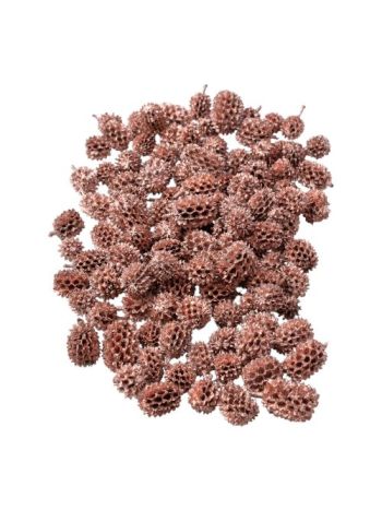 Casurina 15dkg/csom - Rose gold