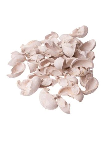 Fül termés 15dkg/csom - Fehérített