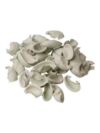 Fül termés 15dkg/csom - Zsályazöld