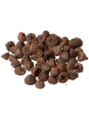 Eukaliptusz termés 15dkg/csom - Natúr