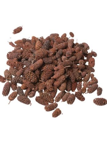 Pine Birch 15dkg/csom - Natúr