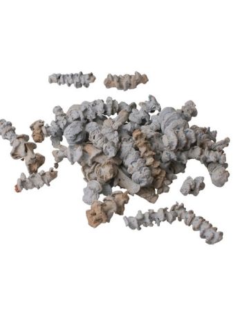 Banán szár 15dkg/csom - Tengerkék