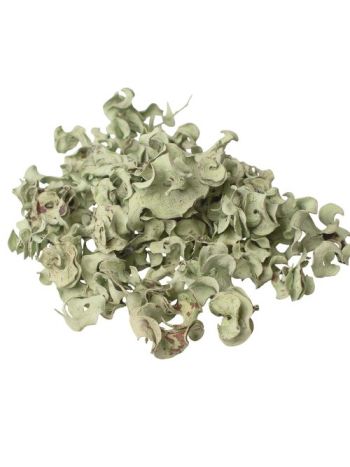 Curly termés 15dkg/csom - Zsályazöld