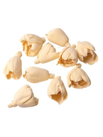 Shola tulipán 6cm 10db/csom - Fehérített