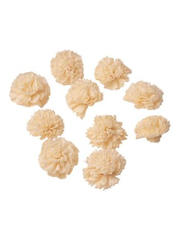 Shola szegfű 4cm 10db/csom - Natúr