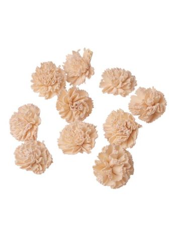 Shola szegfű 4cm 10db/csom - Fehér tea