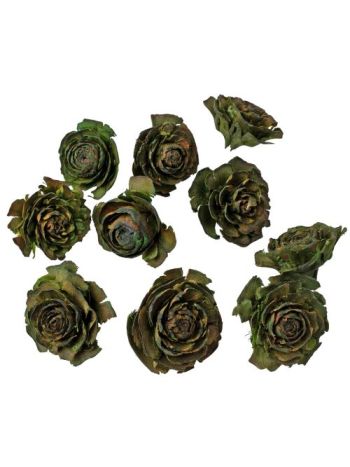 Cédrus rózsa 3-5cm 10db/csom - Sötétzöld