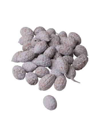 Cane fruit 15dkg/csom - Tengerkék