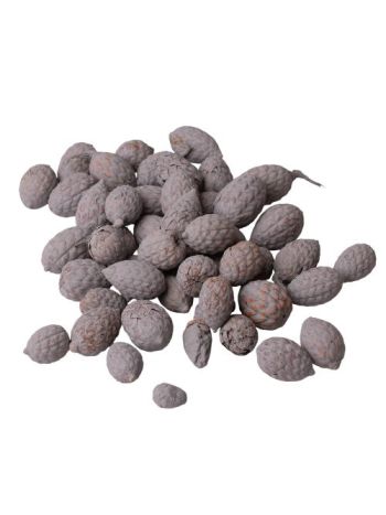 Cane fruit 15dkg/csom - Hamuszürke