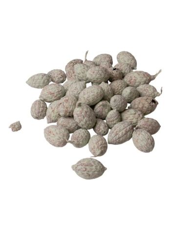 Cane fruit 15dkg/csom - Zsályazöld