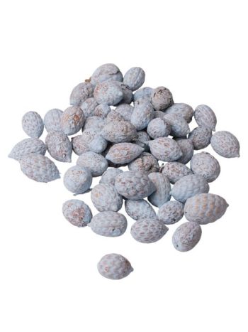 Cane fruit 15dkg/csom - Hidegkék