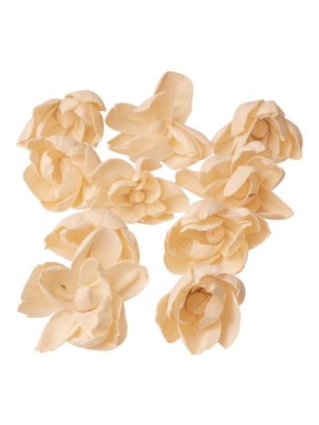 Shola peónia 10db - Natúr