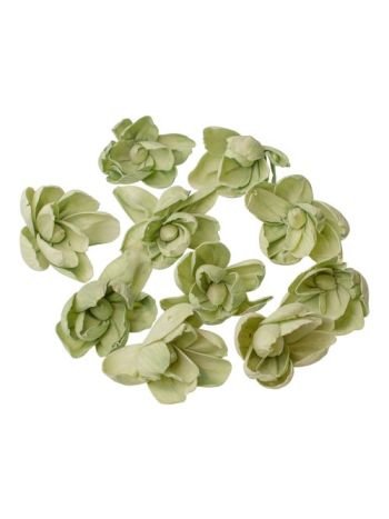 Shola peónia 10db - Zsályazöld