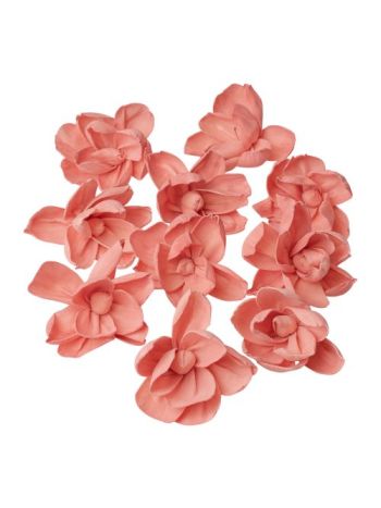 Shola peónia 10db - Pasztell rózsaszín