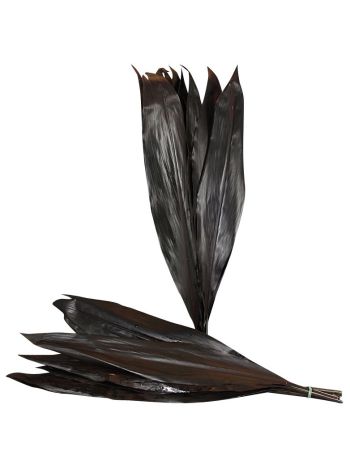 ZO BLACK TIE 80CM