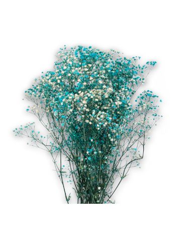 ZVB GYPS LIGHT BLUE 8435056104228