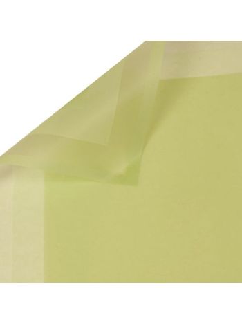 Keretes matt fólia ív 58 x 58cm- 20db - Világoszöld