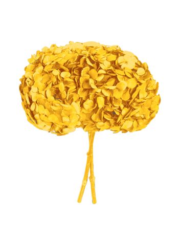 ZVB PREMIUM HYDRANGEA AMARILLO SUAVE 3421770330628
