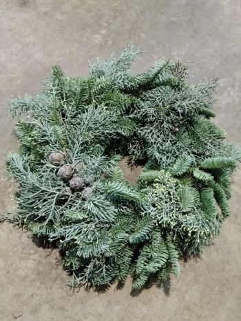 ZZ HU KOSZOR&Uacute; ALAP NOBILIS-CSIPKE 25 CM