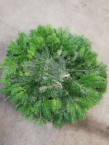 ZZ HU KOSZORU FEKVO 60CM